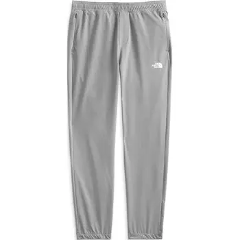 Повседневные брюки мужские серые The North Face, серый