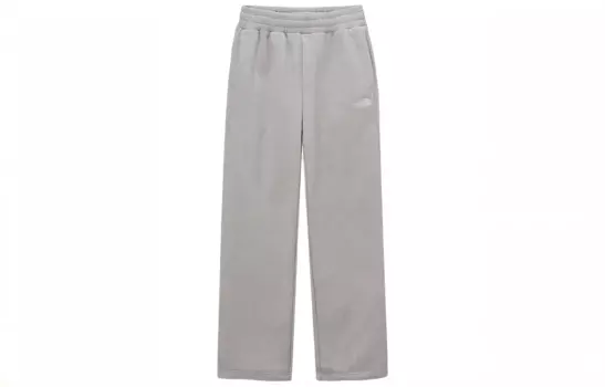 Повседневные брюки мужские серые The North Face, серый