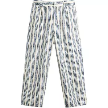 Повседневные брюки мужские Синие / Белые Zara, синий/белый