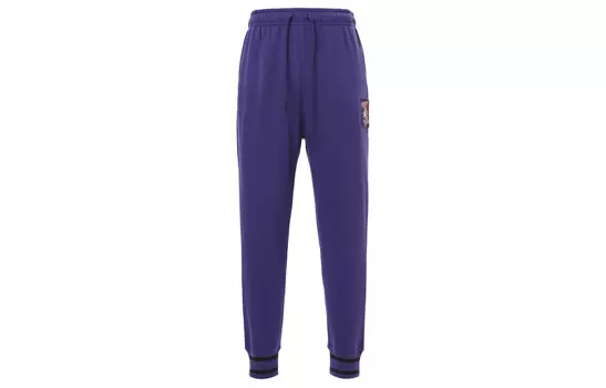 Повседневные брюки мужские Sky J Mauve Jordan, лиловый
