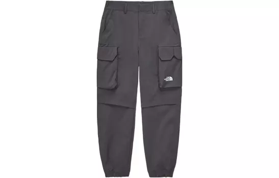 Повседневные брюки мужские темно-серые The North Face, темно-серый