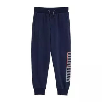 Повседневные брюки мужские темно-синие Puma, темно-синий