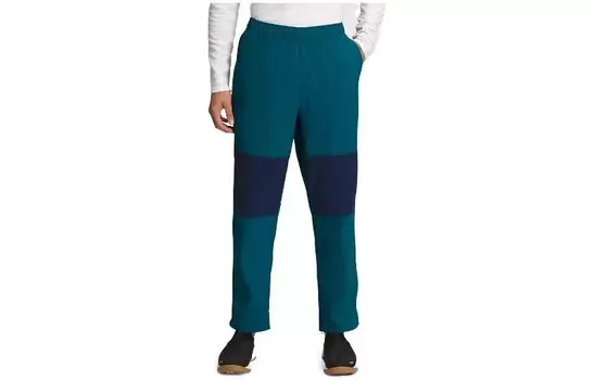 Повседневные брюки мужские темно-синие The North Face, синий