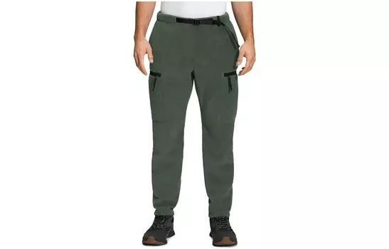 Повседневные брюки мужские зеленые The North Face, зеленый