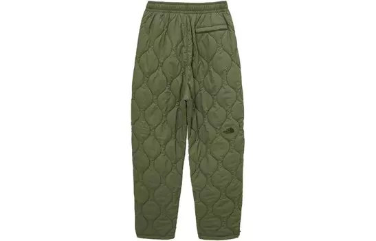 Повседневные брюки мужские зеленые The North Face, зеленый