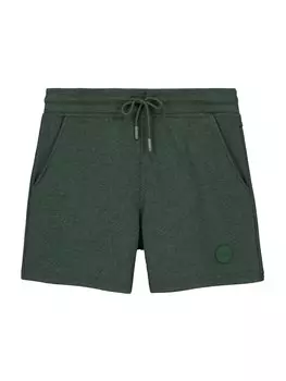 Повседневные брюки Shiwi, зеленый