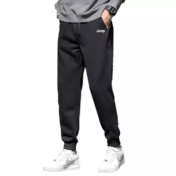 Повседневные брюки, спортивные брюки унисекс Jeep, Gray Fleece-Lined