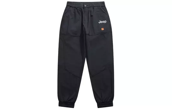 Повседневные брюки унисекс Jeep, серый