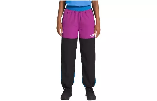 Повседневные брюки женские разноцветные The North Face
