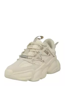 Повседневные кроссовки STEVE MADDEN Sneakers SPECTATOR, серо-бежевый