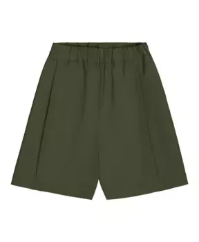 Повседневные шорты Laneus, зеленый
