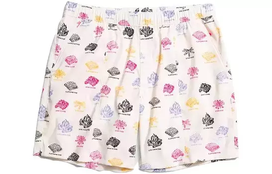 Повседневные шорты мужские белые The North Face, белый