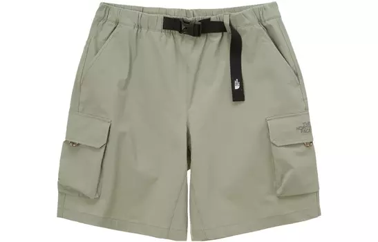 Повседневные шорты мужские цвета матча The North Face, цвет Matcha