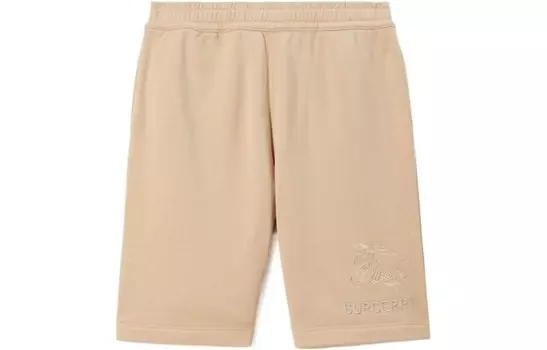 Повседневные шорты мужские хаки Burberry, хаки