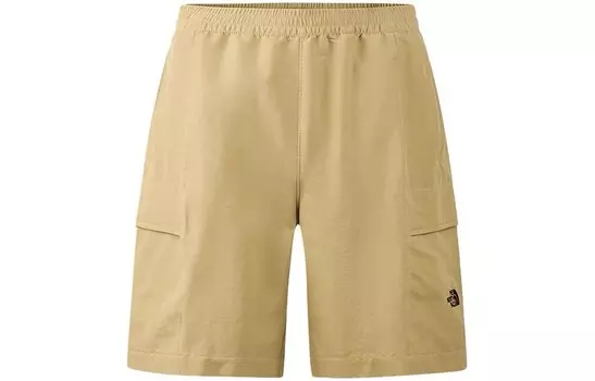 Повседневные шорты мужские хаки The North Face, хаки