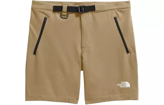 Повседневные шорты мужские хаки The North Face, хаки