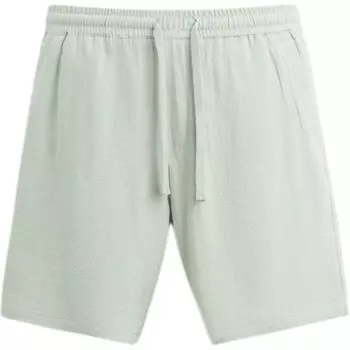 Повседневные шорты мужские Lake Green Zara, зеленый