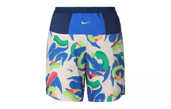 Повседневные шорты мужские многоцветные Nike, цвет Multicolor