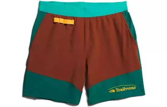 Повседневные шорты мужские многоцветные The North Face, цвет Multicolor