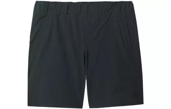 Повседневные шорты мужские серые The North Face, серый
