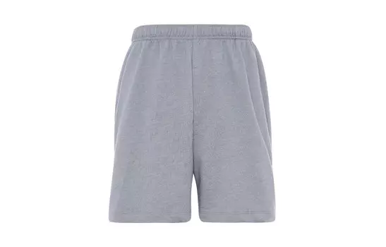Повседневные шорты мужские серые The North Face, серый