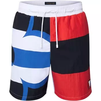 Повседневные шорты мужские синие Louis Vuitton, синий