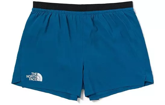 Повседневные шорты мужские синие The North Face, синий