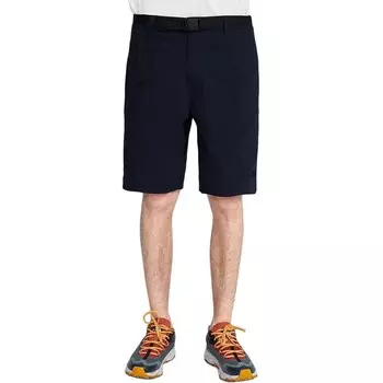 Повседневные шорты мужские синие The North Face, синий