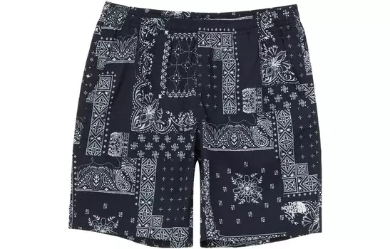 Повседневные шорты мужские темно-синие The North Face, синий