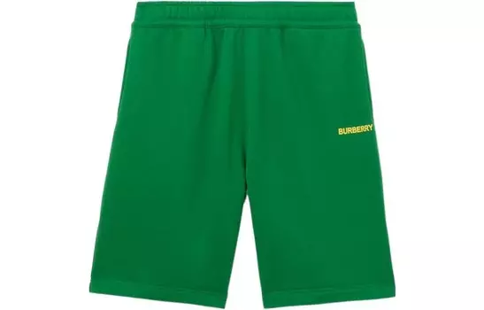 Повседневные шорты мужские зеленые Burberry, зеленый