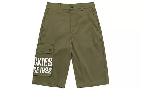 Повседневные шорты мужские зеленые Dickies, зеленый