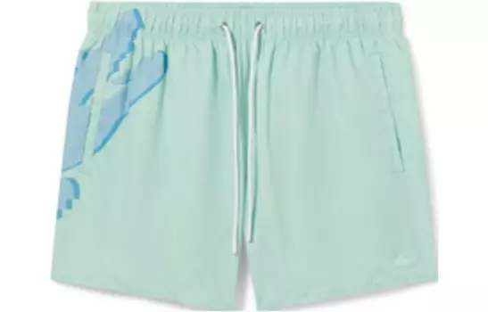 Повседневные шорты мужские зеленые Lacoste, зеленый