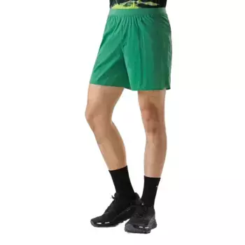 Повседневные шорты мужские зеленые The North Face, зеленый
