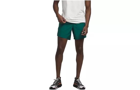 Повседневные шорты мужские зеленые The North Face, зеленый