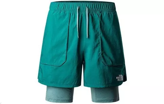 Повседневные шорты мужские зеленые The North Face, зеленый
