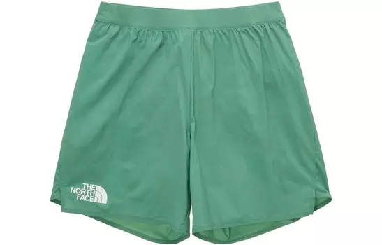 Повседневные шорты мужские зеленые The North Face, зеленый