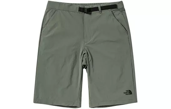 Повседневные шорты мужские зеленые The North Face, зеленый