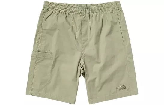 Повседневные шорты мужские зеленые The North Face, зеленый