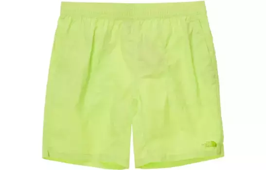 Повседневные шорты мужские зеленые The North Face, зеленый