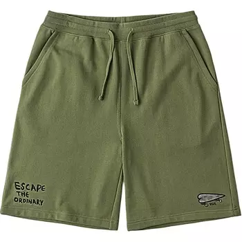 Повседневные шорты мужские зеленые Vans, зеленый