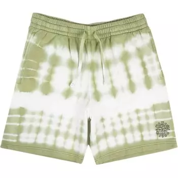 Повседневные шорты мужские зеленые Vans, зеленый