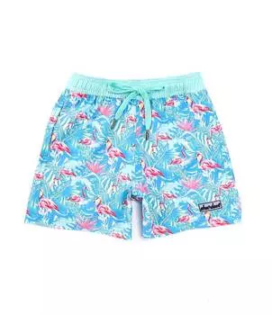 Правильно завязанные плавки Shordees для маленьких мальчиков 2T-7 с цветочным принтом фламинго Properly Tied, синий