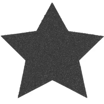 Primaflor-Ideen в текстильной подставке «Звезда, Рождественские украшения», (набор, 6 шт.), идеально подходит в качестве подставки или украшения стола, размер 16,5 см Primaflor-Ideen In Textil, черный