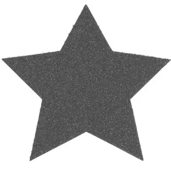 Primaflor-Ideen в текстильной подставке «Звезда, Рождественские украшения», (набор, 6 шт.), идеально подходит в качестве подставки или украшения стола, размер 16,5 см Primaflor-Ideen In Textil, антрацит