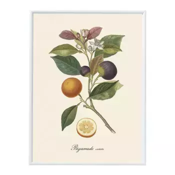Принт «Апельсины и инжир» Dybahl + Frame — El Corte Ingls, белый