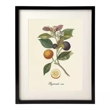 Принт «Апельсины и инжир» The Dybahl + Marco Thor El Corte Ingls, черный