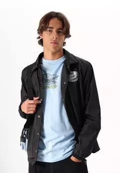 Принт на футболке BRAUN FEVER DREAM UNISEX Santa Cruz, синий