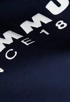 Принт на футболке CORE LOGO Mammut, синий