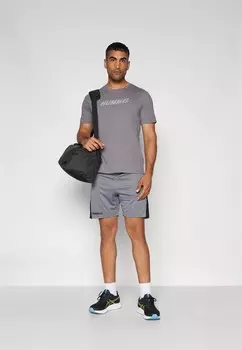 Принт на футболке ELEMENTAL LOGO TEE Hummel, серый