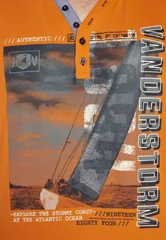 Принт на футболке MUNIBERT Jan Vanderstorm, оранжевый